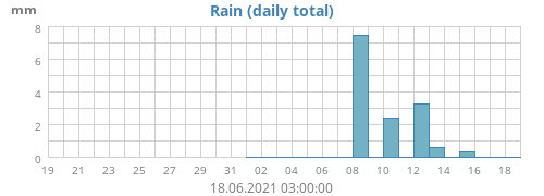 Rain